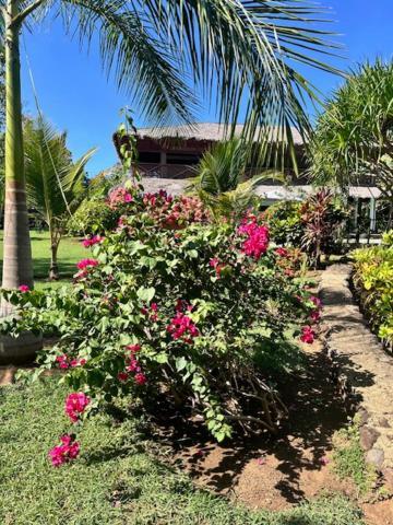 Villa Milena Nosy-Be Exteriér fotografie